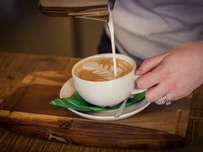 Barista qualified staff